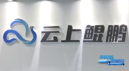 貴安新區企業開足馬力忙生產，邁好新年第一步——故云行之觀察